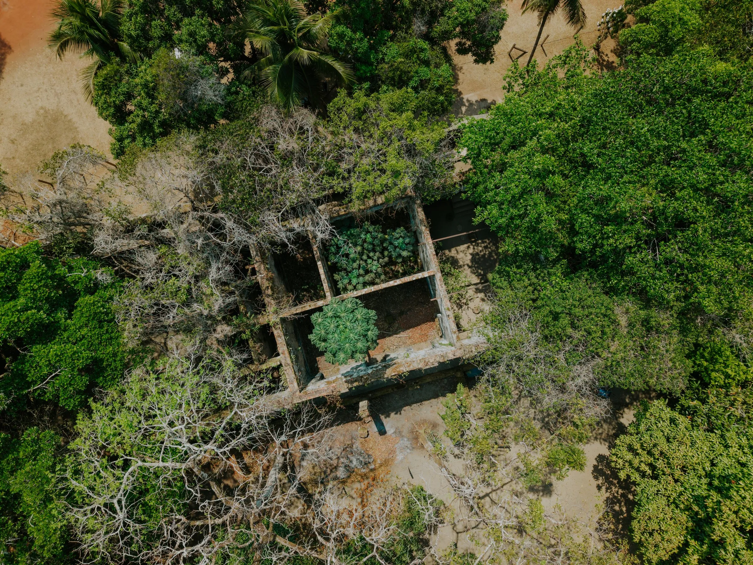 Paricatuba Ruins