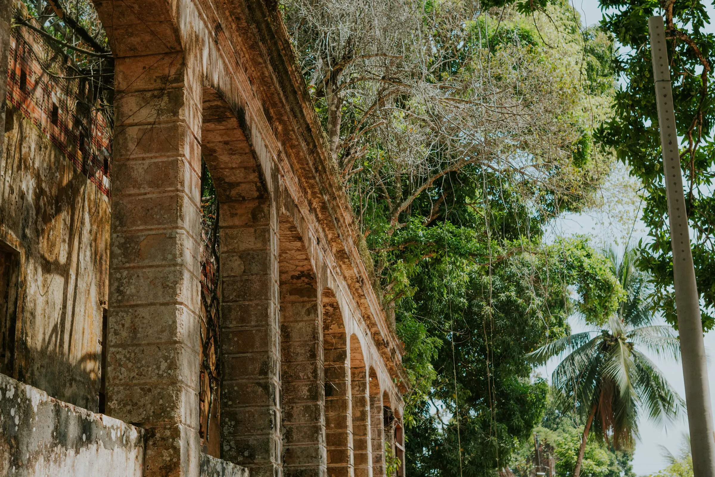 Ruínas de Paricatuba